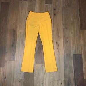 Express Columnist Barely Boot Mid Rise Pants Sz 00